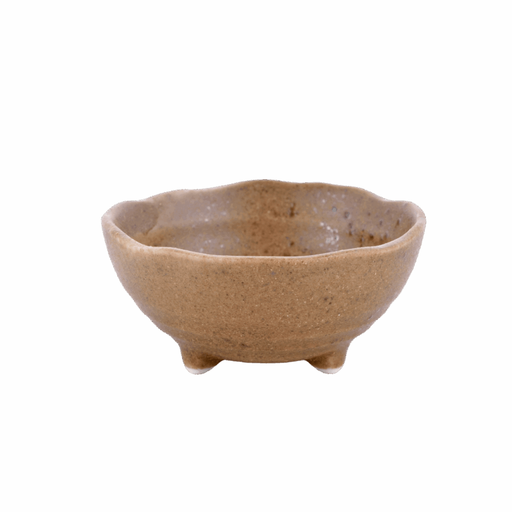 Petite coupelle de plantation - Image 5