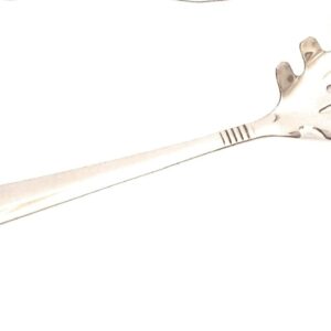 Vc Stainless Steel Long Handle Spaghetti Noodles Pasta Serving Spoon, Pack of One Piece