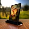 Sai Baba Idol, 10 cm x 12 cm x 1 cm, Multicolour