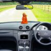 Hanuman Ji Idol Statue Showpiece Decor for Car Dashboard, Office Table, Home, Mandir
