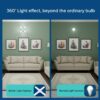 Stellar Bright 20W Radial B22 LED T-Bulb,Cool Daylight, Pack of 1