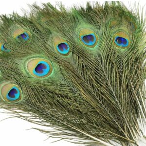 VRB DecTm 10Pcs Real Natural Peacock Peacock Feather Original Feathers 10-12 inch for DIY Craft Floral Arrangements,Wedding,Home and Party Decorations Feathers (Pack of 10 Pcs)