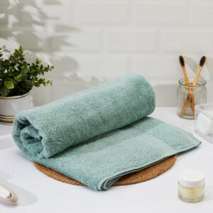 Amazon Brand - Solimo - Cotton Bath Towel | 500 GSM | Fade Resistant | Aqua Green
