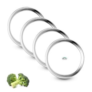 Sanskriti Exports Stainless Steel Dinner Plate Steel Thali(14 Inch) Set of 4