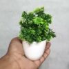 Set of 4 Artificial Flower Arrangements in White Pots