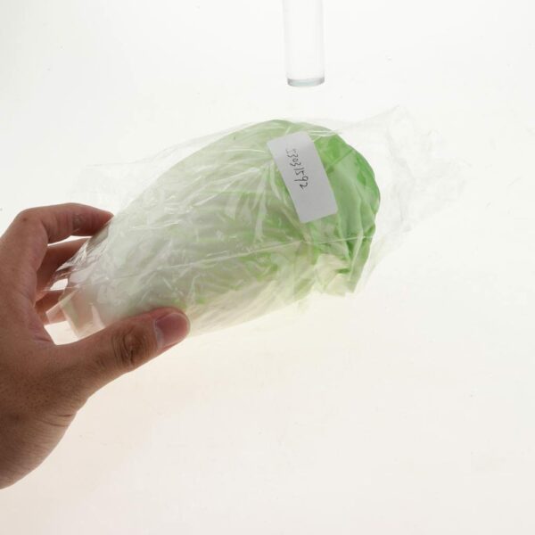 Lifelike Artificial Cabbage Vegetable for Home Decor - Image 5