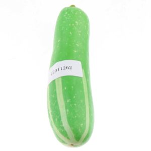 Lifelike Artificial Cucumber Vegetable - Multicolor Plastic