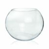 Ecofynd Glass Terrarium Bowl - 4inch Clear Aquarium Bowl
