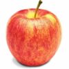 Pack of 5 Realistic Artificial Fruits for Decoration