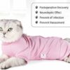 Cat Recovery Suit for Male & Female, Size L, Pink