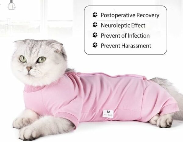 Cat Recovery Suit for Male & Female, Size L, Pink - Image 5
