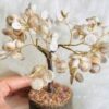 Gomti Chakra Tree for Good Luck & Prosperity - 100 Beads