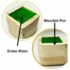 Artificial Bonsai Tree in Pot - Faux Grass Shrubs for Home Decor