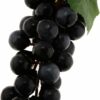 Set of 10 Artificial Fruits for Baby Photoshoot & Decor