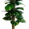 4.5 Feet Artificial Money Plant Tree for Home Decor