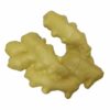 Artificial Lifelike Fake Vegetable Ginger for Display & Play