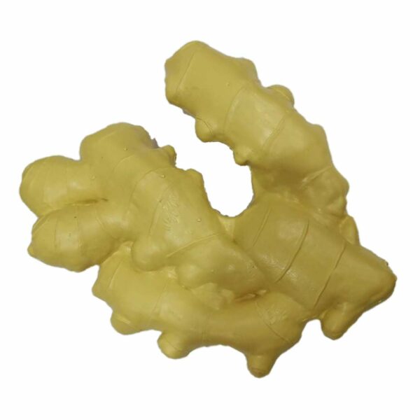 Artificial Lifelike Fake Vegetable Ginger for Display & Play - Image 3