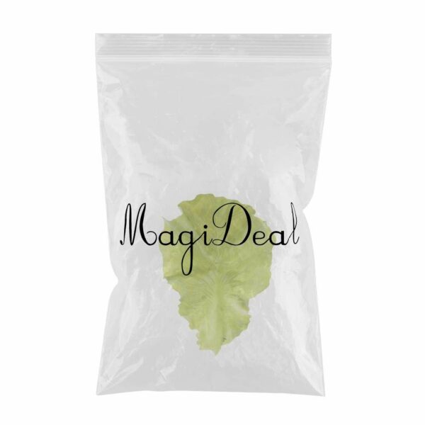 Lifelike Artificial Vegetable Lettuce Decoration - Multicolor - Image 5