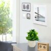 Lifelike Cotton White Pot Artificial Flower Plant for Home Decor