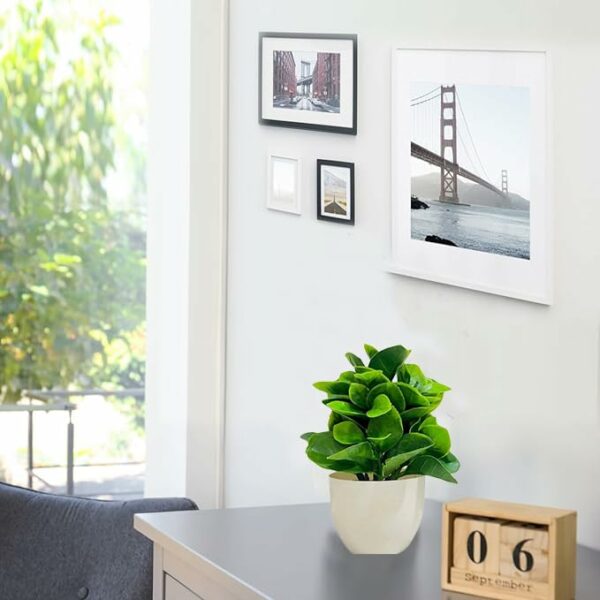 Lifelike Cotton White Pot Artificial Flower Plant for Home Decor - Image 5