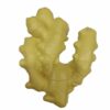 Artificial Lifelike Fake Vegetable Ginger for Display & Play