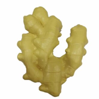 Artificial Lifelike Fake Vegetable Ginger for Display & Play