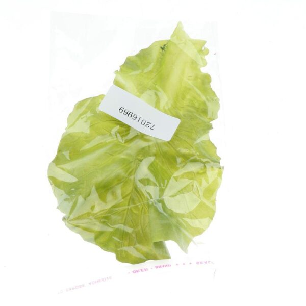 Lifelike Artificial Vegetable Lettuce Decoration - Multicolor - Image 6