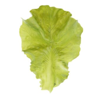 Lifelike Artificial Vegetable Lettuce Decoration - Multicolor
