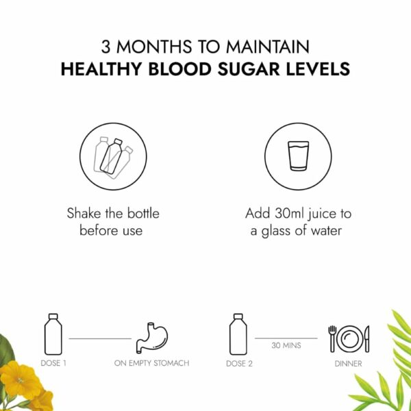 Ayurvedic Dia Free Juice 1L - Blood Sugar Support Pack of 2 - Image 6