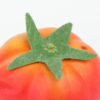 Artificial Lifelike Fake Vegetable Tomato - Multicolor Plastic