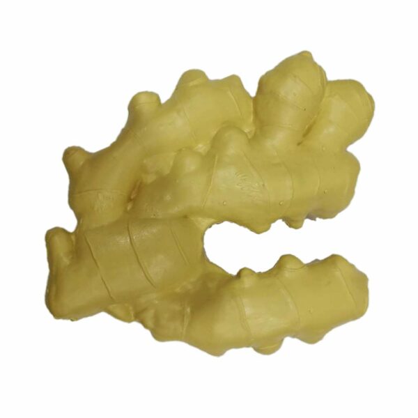 Artificial Lifelike Fake Vegetable Ginger for Display & Play - Image 2