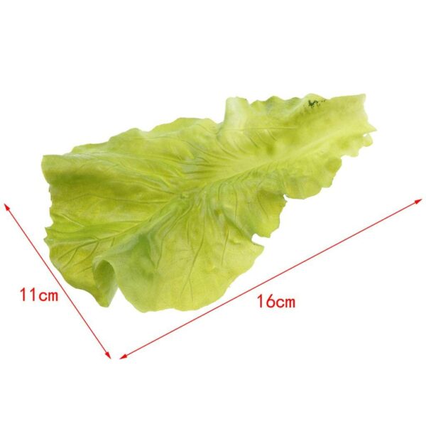 Lifelike Artificial Vegetable Lettuce Decoration - Multicolor - Image 4