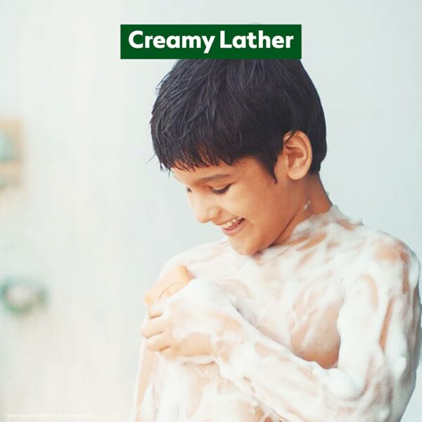 Germ Protection Bathing Soap Bar - 400gm Pack of 4 - Image 3