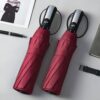 Windproof Travel Umbrella - Automatic Open/Close, Compact & Lightweight