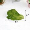 6pcs Artificial Green Lettuce Leaves - PVC Simulation Food