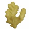 Artificial Lifelike Fake Vegetable Ginger for Display & Play
