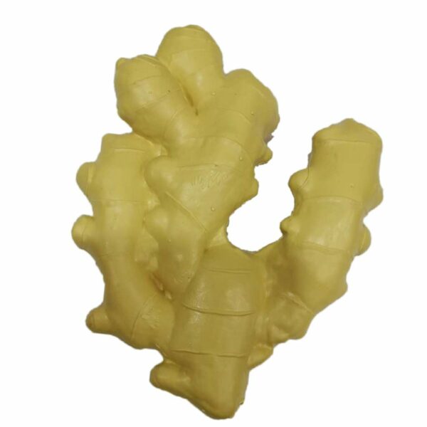 Artificial Lifelike Fake Vegetable Ginger for Display & Play - Image 4