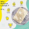 Natural Sun Dried Bath Loofah Scrubber - Eco-Friendly Pack of 3