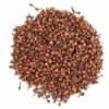 Nagkesar Iron Wood Tree - Mesua Ferrea - 50 Grams