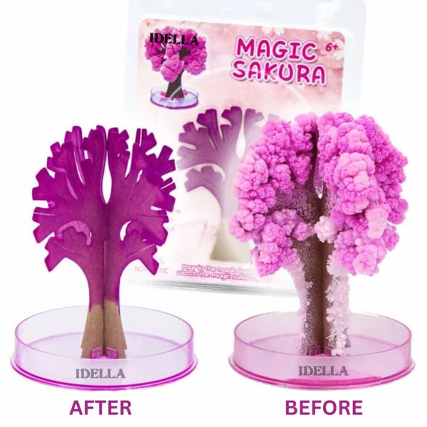 Sakura Magic Trees - Japanese Miniature Cherry Blossom Kit - Image 3