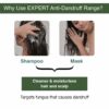 Anti Dandruff Shampoo with Salicylic Acid & Biotin - 250ml