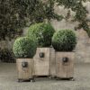 Plastic Boxwood Buxus Grass Hanging Topiary Ball - 32 cm Green