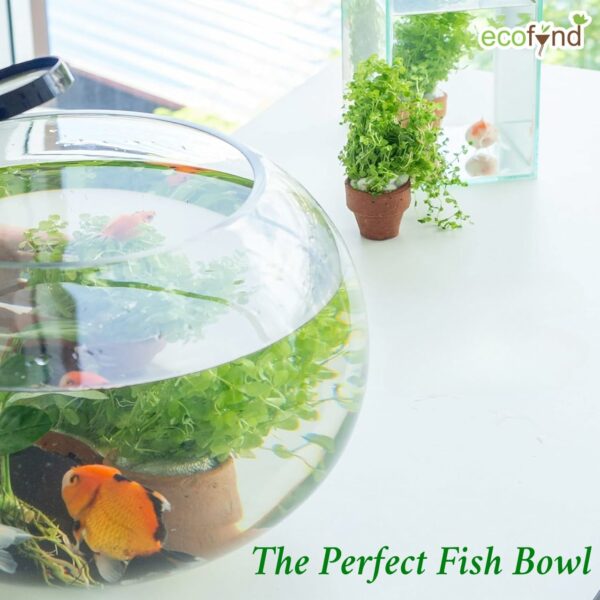 Ecofynd Glass Terrarium Bowl - 4inch Clear Aquarium Bowl - Image 6