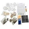 DIY Seashell Fridge Magnets Kit for Kids 8+ | Art & Craft Activity
