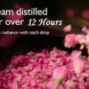 Premium Rose Water - 400ml Pack of 3 | Hydrates & Cleanses Skin