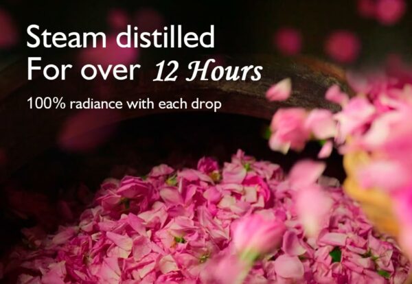 Premium Rose Water - 400ml Pack of 3 | Hydrates & Cleanses Skin - Image 4