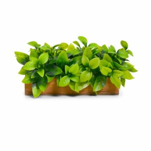 Artificial Bamboo Plant Leaves in Wooden Tray - 11cm x 20cm