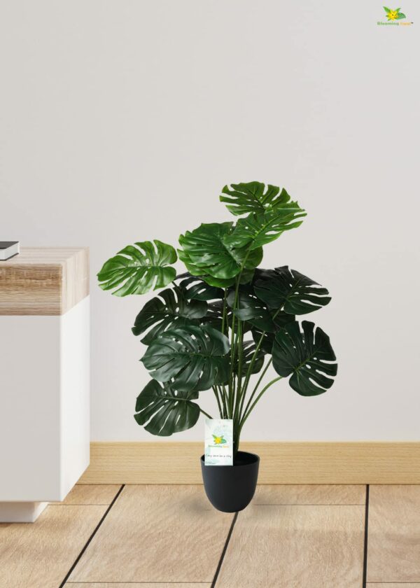 Artificial Monstera Plant with Black Pot - 63.5 cm Tall - Image 4