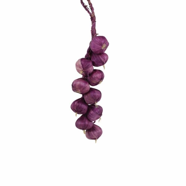 Set of 3 Artificial Veggies - Chilli, Onion, Garlic - Image 5