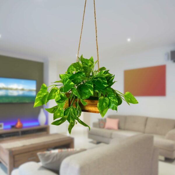 Artificial Money Plant with Woodlog Pot - 18 cm - Home & Office D?cor - Image 5